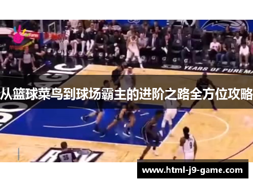从篮球菜鸟到球场霸主的进阶之路全方位攻略