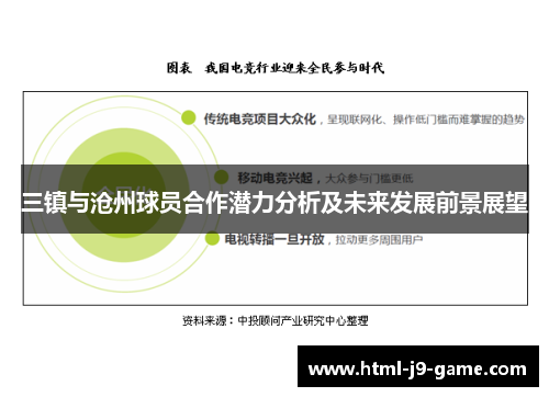 三镇与沧州球员合作潜力分析及未来发展前景展望